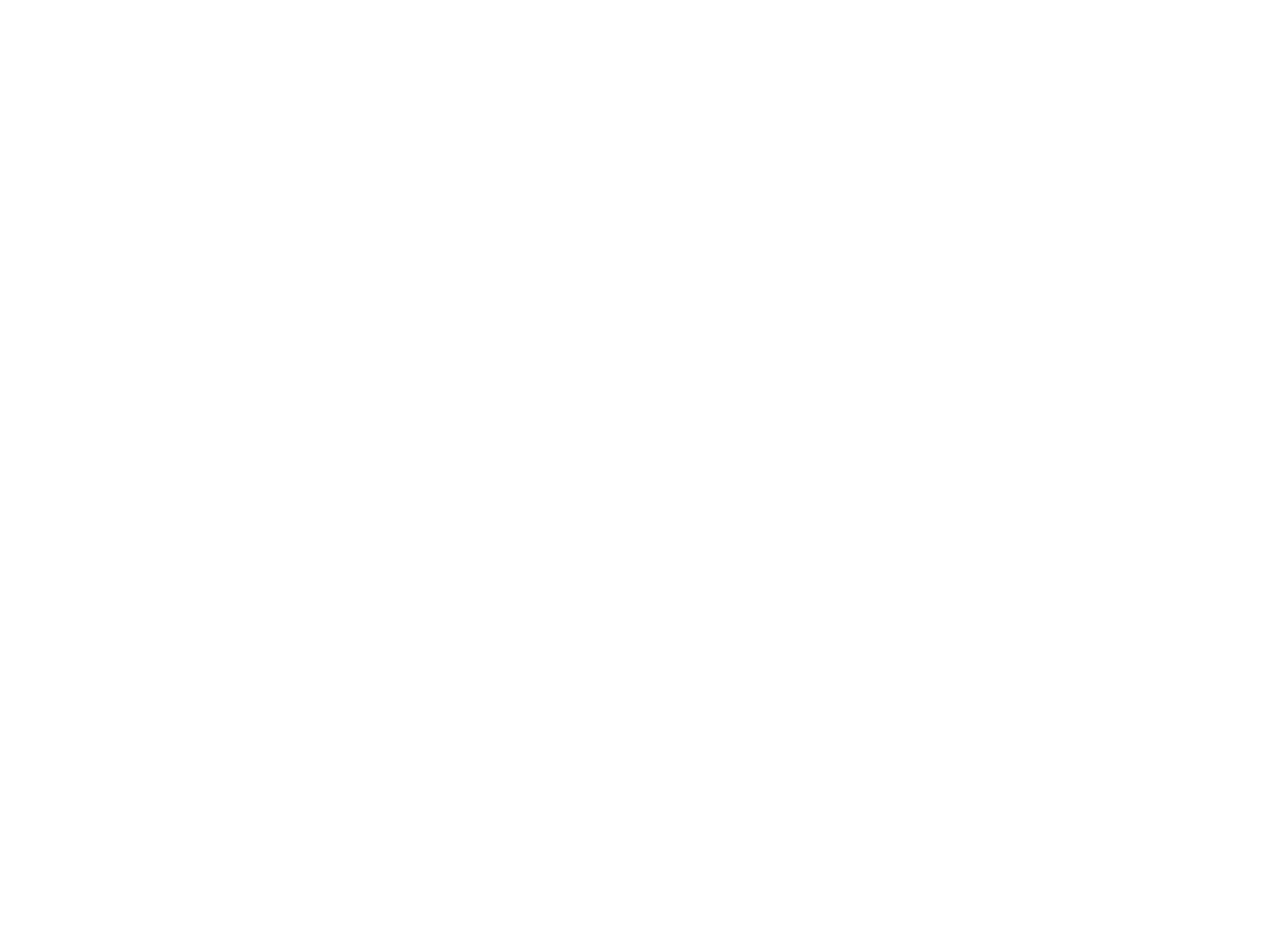 codenet logo